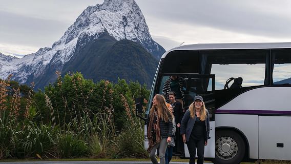 Milford Sound coach tour and day cruise experience
