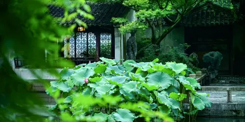 蘇州周莊+寒山寺+楓橋景區+留園包車一日遊可中英文服務