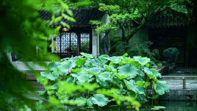 ทัวร์ 1 วันเหมารถหมู่บ้านโบราณโจวจวง + วัดหานซาน + วิวสะพานเฟง + สวนหลิวในซูโจว พร้อมบริการภาษาจีนและอังกฤษ