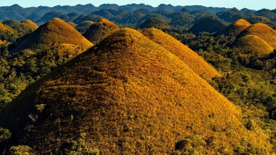 Bohol Countryside Day Tour by Bohol and Beyond (vehicle rental only)