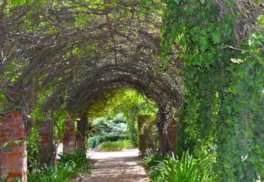 Barossa Valley Cellar Door Small Group Tour AUD 194.94