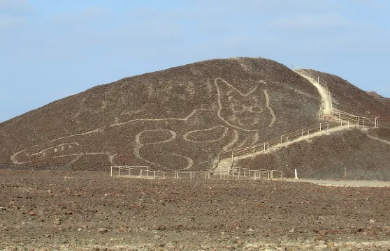 納斯卡線條陸地遊