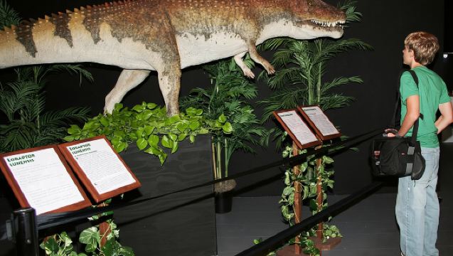 Tiket Masuk Muzium Dinosaur Branson