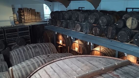 Douro Valley: 2 Vineyard Visits with Lunch and River Cruise