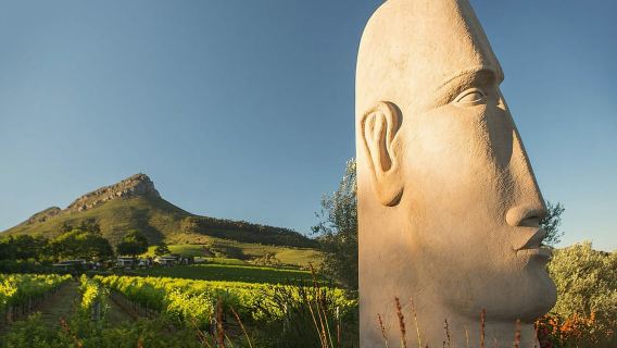 Le Cap : visite privée des vignobles avec dégustations et déjeuner