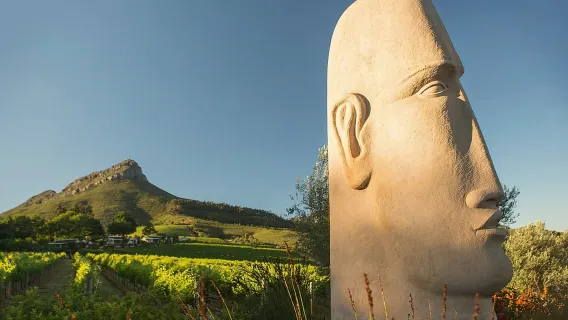 Ciudad del Cabo: Tour privado de vinos con catas y almuerzo