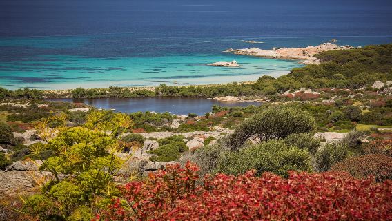 From Stintino: Asinara minivan tour