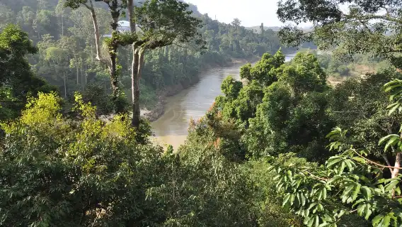 從 吉隆坡 出發：大漢山國家公園健行日遊