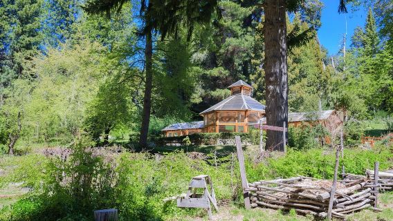 Bariloche: Boat Tour to Victoria Island and Arrayanes Forest