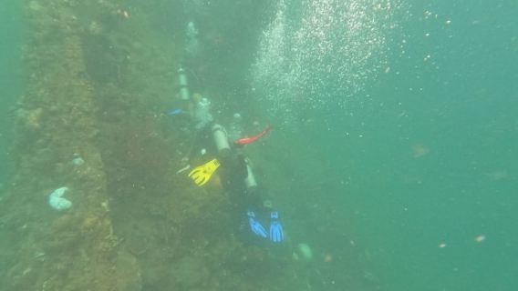 CORON:REEF AND WRECK - 2 ЯПОНСКИХ ТУРА ПО ЗАТРОШЕННЫМ КОРАБЛЯМ И ПРОХОДНЫМ ОСТРОВАМ