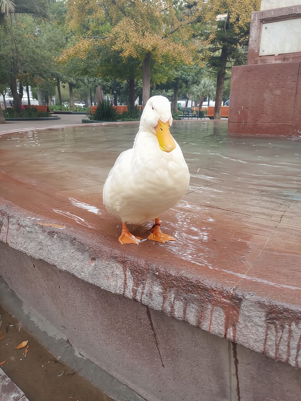 A historical tour of Santiago, Chile