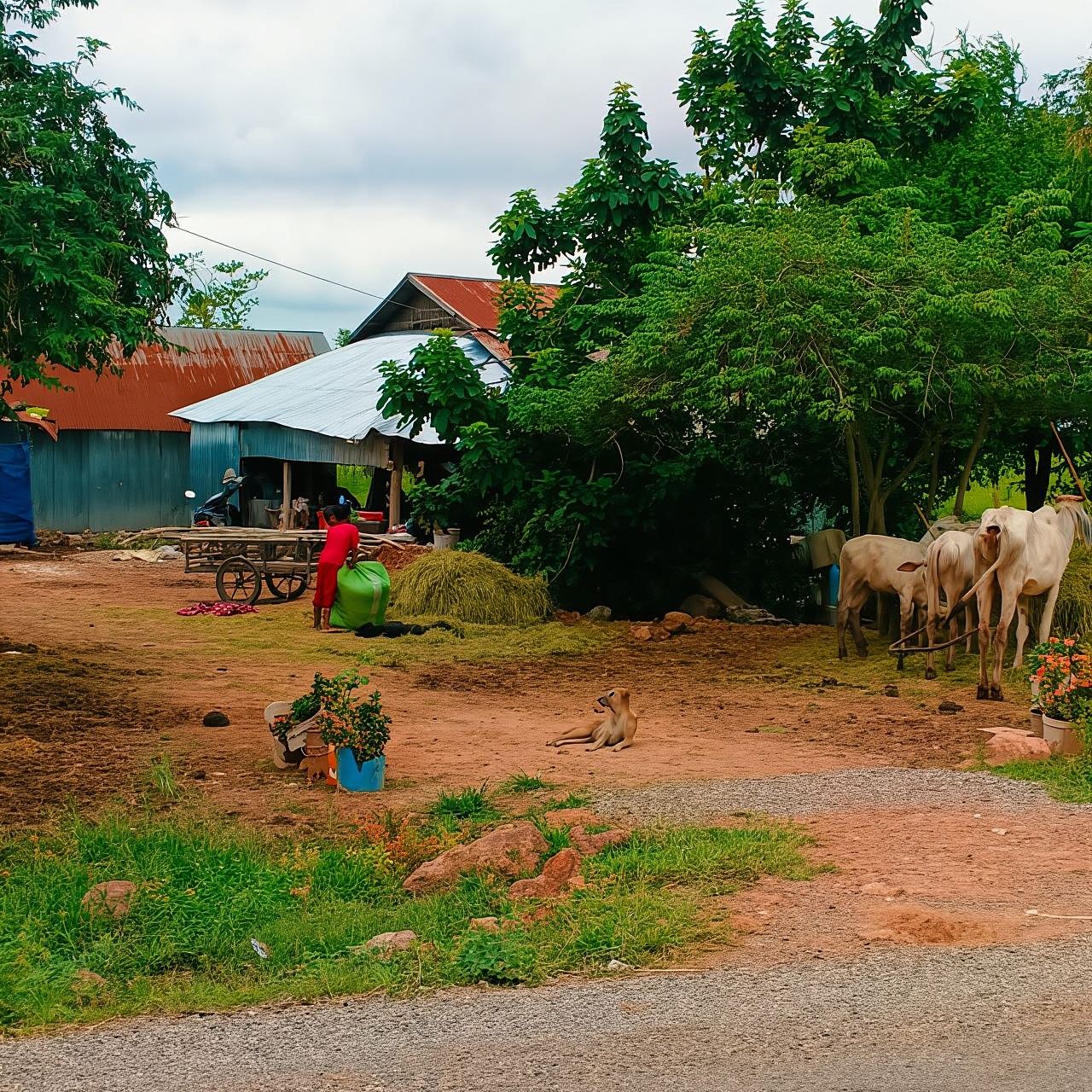 Recorrido en tuktuk de confianza/Tren de bambú/campo/exterminio y cueva de murciélagos
