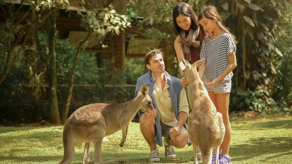 Taman Margasatwa Bogor