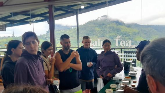 Desde Mirissa / Galle / Bentota: a Ella TOUR DE DÍA y regreso