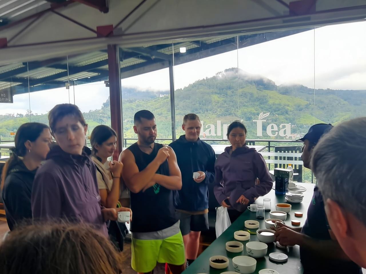 From Mirissa / Galle / Bentota : to Ella DAY TOUR & Return