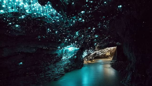 Excursion d'une journée au plateau de tournage Hobbiton et aux grottes de vers luisants de Waitomo avec déjeuner inclus