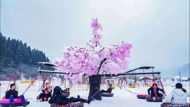 重慶豐都南天湖冰雪一日遊