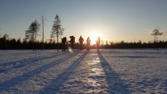 Luleå: Nordic Touring Skiing Adventure