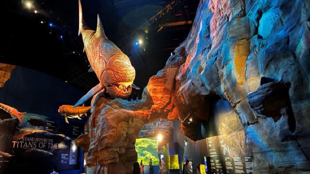 Singapore Oceanarium with One Way Transfer