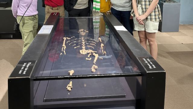 Het beste van Addis Ababa (hele dag)