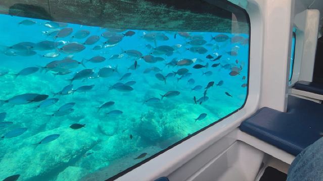 Taormina: Nemosub Submarine Experience with Dolphin Spotting