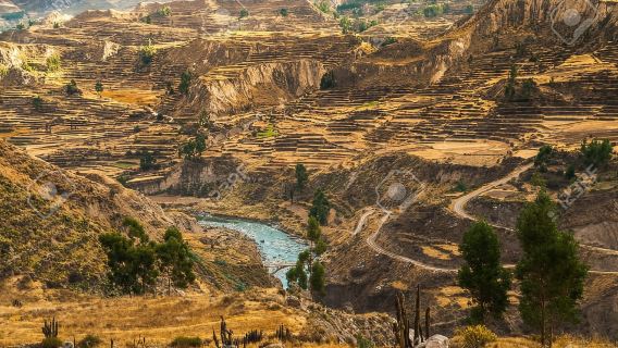 Day Trip to Colca Canyon + Transfer to Puno with Meals