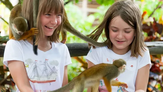 Punta Cana Monkeyland and Zipline Two Adventures in One Day