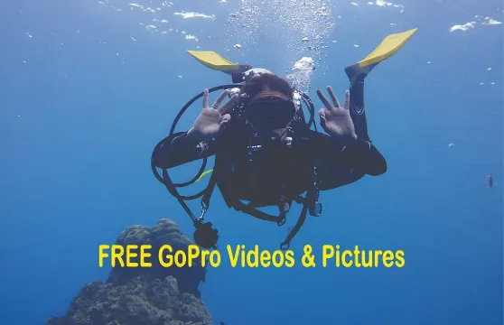 巴拿馬城適合初學者的水肺潛水活動