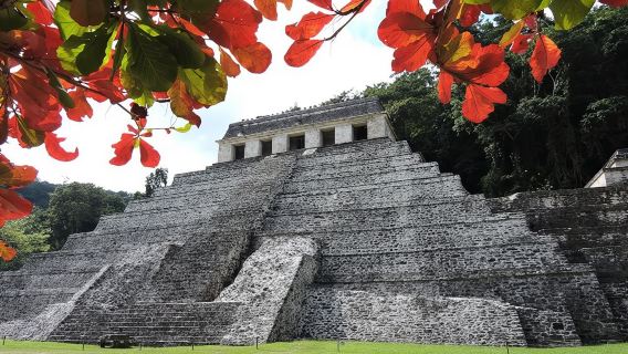 Sitio arqueológico de Palenque desde la ciudad de Villahermosa o el aeropuerto