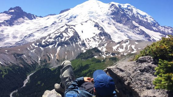 Excursión y caminata guiada al Monte Rainier