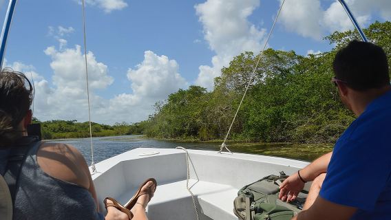 Lamanai Temples, River Cruise, Howler Monkeys, Birdwatching.