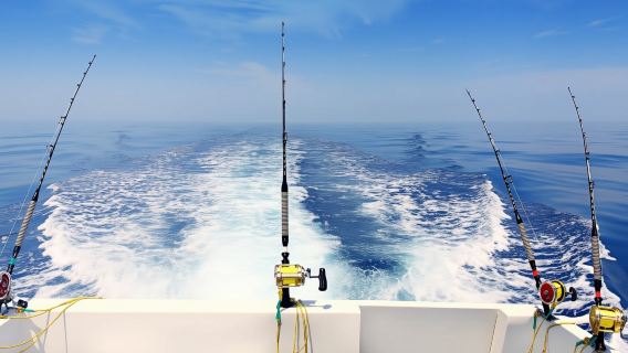 Esperienza di mezza giornata in barca da pesca da Puerto Colon a Tenerife