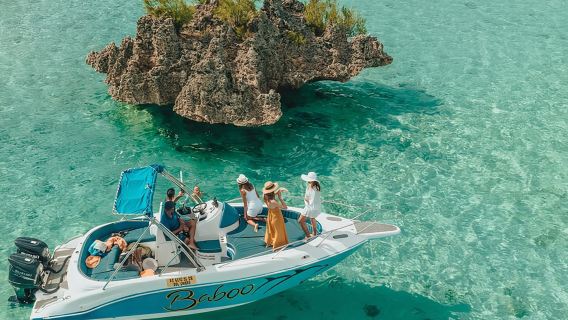 Pengalaman Khas: Ikan lumba-lumba dan Perisa Laut