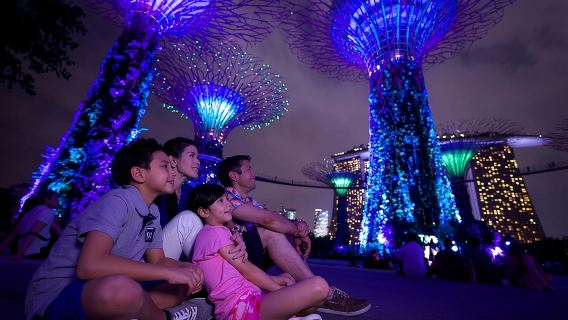 Singapore Twilights with River Cruise & Light Shows