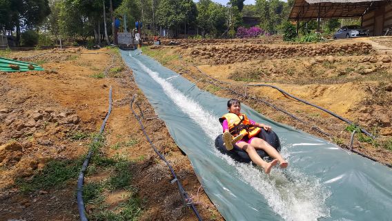 Granja de arroz Desaru + Mini zoológico + Granja de avestruces|Incluye entradas + almuerzo|Salida desde Johor Bahru