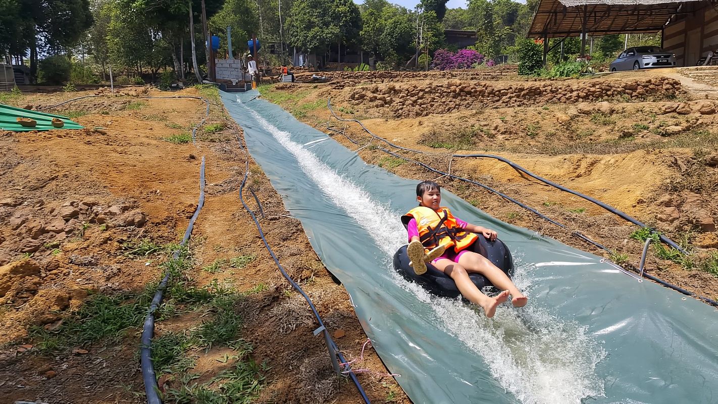 Desaru Paddy Field Farm + Mini Zoo + Desaru Ostrich Farm (Closed)|Includes Admission Ticket + Lunch|Departing from Johor Bahru