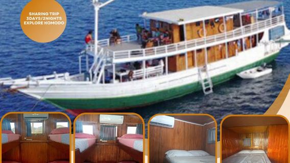 Open Trip Komodo Dragon 3 Days Living Aboard to Explore National Park and Marine Reserve