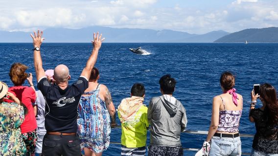 Port DouglasExperiences