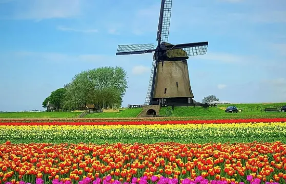 斯哈亨包車一日遊：民俗村+大教堂+音樂花園