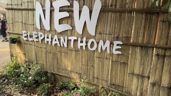 nuevo hogar de elefantes