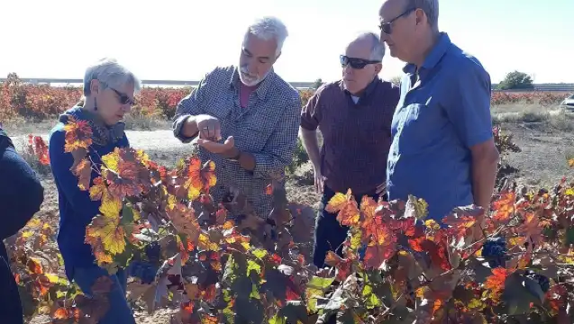 Private Wine Tour with Wine Tasting and Full Lunch (day trip)