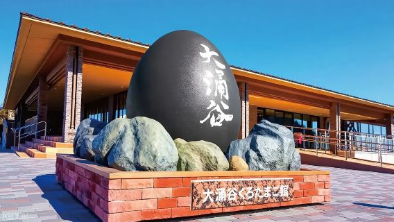 one-day tour of Owakudani, Hakone Torii, Onsen Town and Lake Ashi Pirate Ship in Hakone, Japan