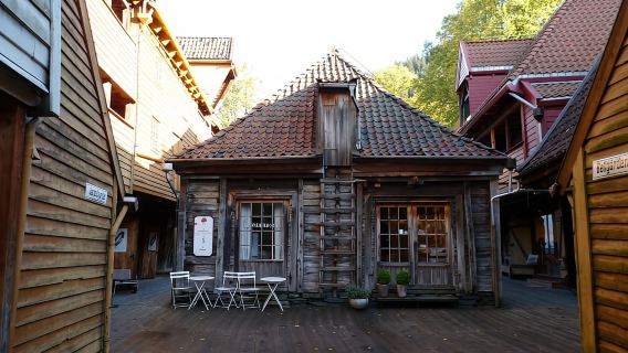 Bergen: giro della città a piedi