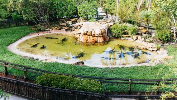Orlando: Tiket Lewati Antrean Gatorland