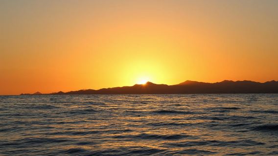 Avistamiento de ballenas al atardecer en San José del Cabo