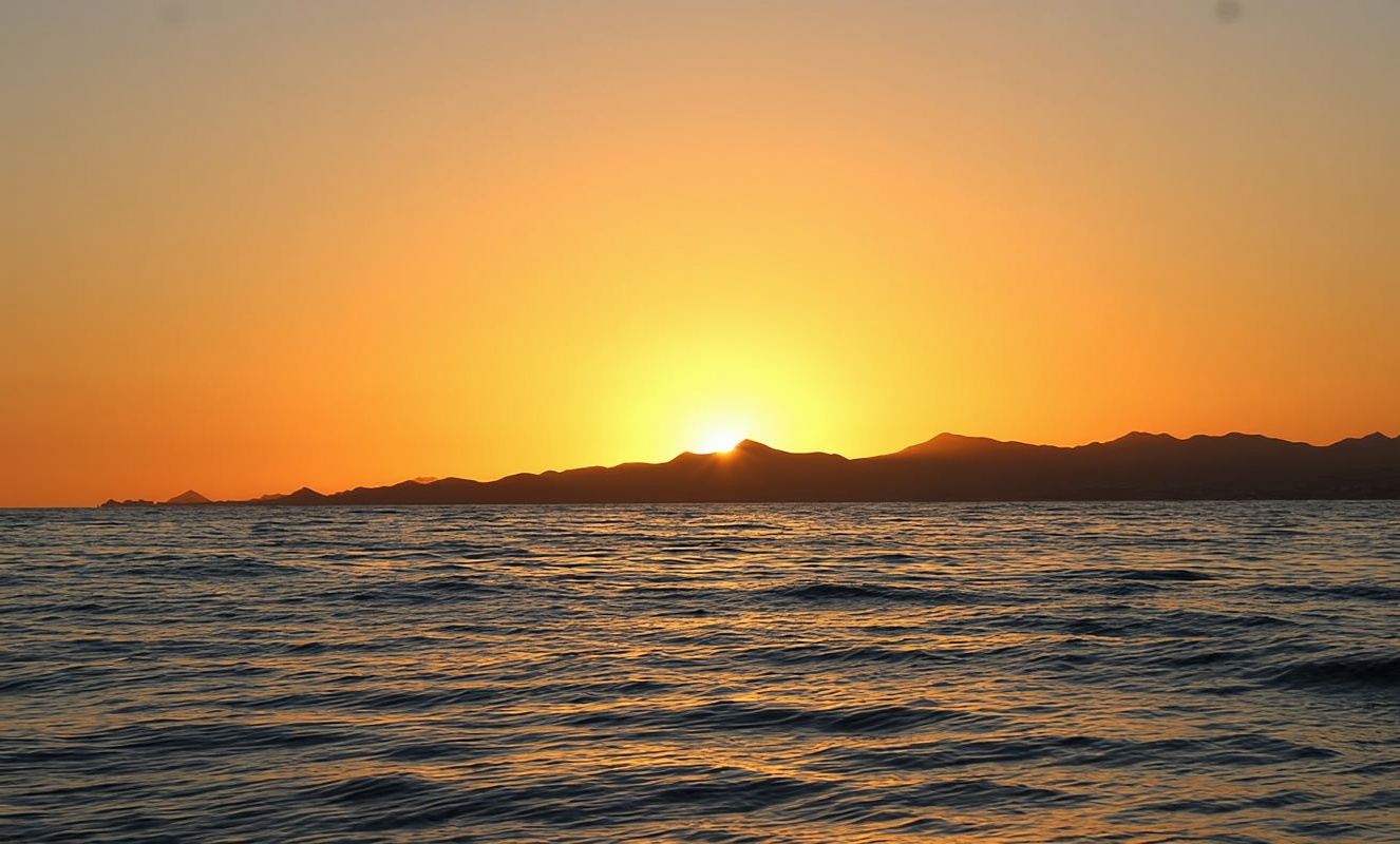 San Jose del Cabo Sunset Whale Watching