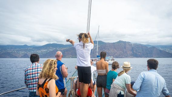 Madeira: escursione in barca di 5 ore sulla costa orientale