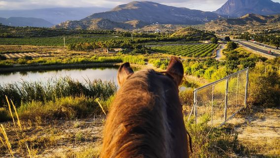Villajoyosa: Paseo a caballo de 2 horas