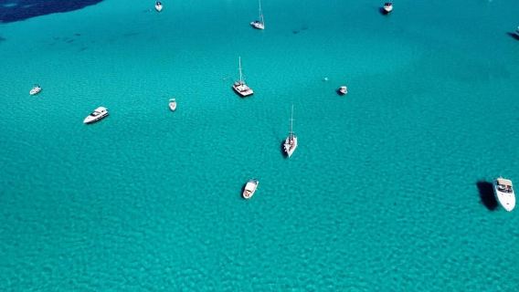 Asinara: Gita in barca a vela nel parco dell'Asinara