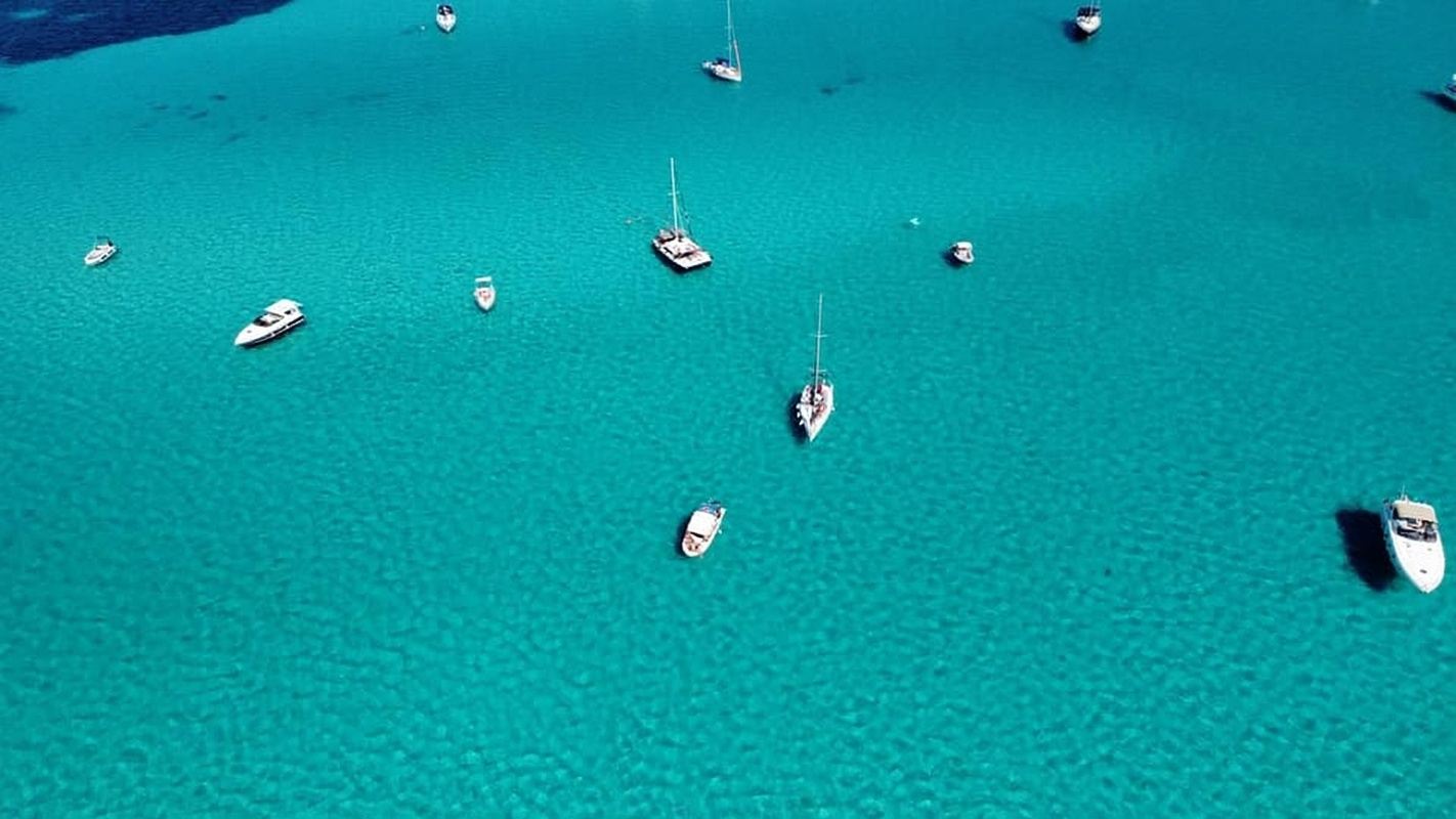 アシナラ：アシナラのバルサ・ア・ヴェラ・ネル・パルコのギータ